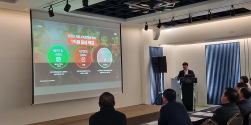 밀양 얼음골 못난이 사과